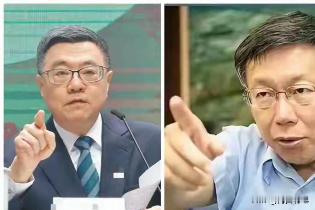 柯文哲的神来之笔，一招借力打力，盘活政治困局，有时候不得不承认，柯文哲在政治手腕