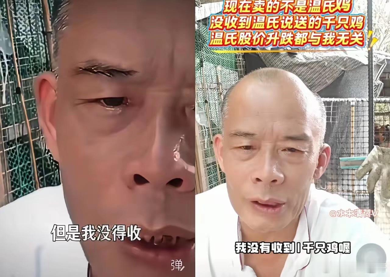 温氏赠鸡事件发酵，说送一千只鸡导致该股票两天升9亿，结果莫叔说根本没收到，周一跌