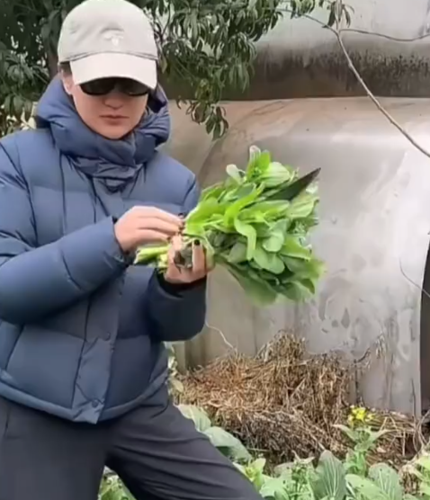 周迅回衢州大赞城市道路干净！