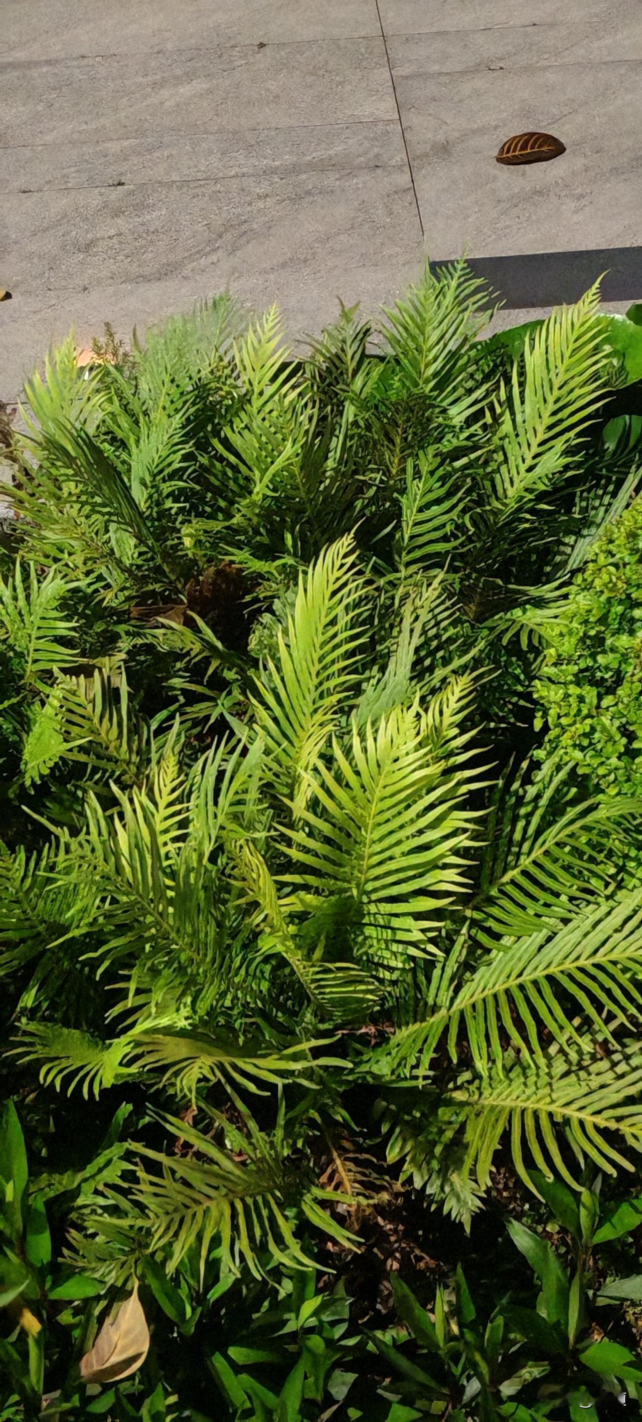 头婚男遇见二婚女，主打一个哭穷，一没房二没车还负债。这帮傻女人还觉得这是坦诚。