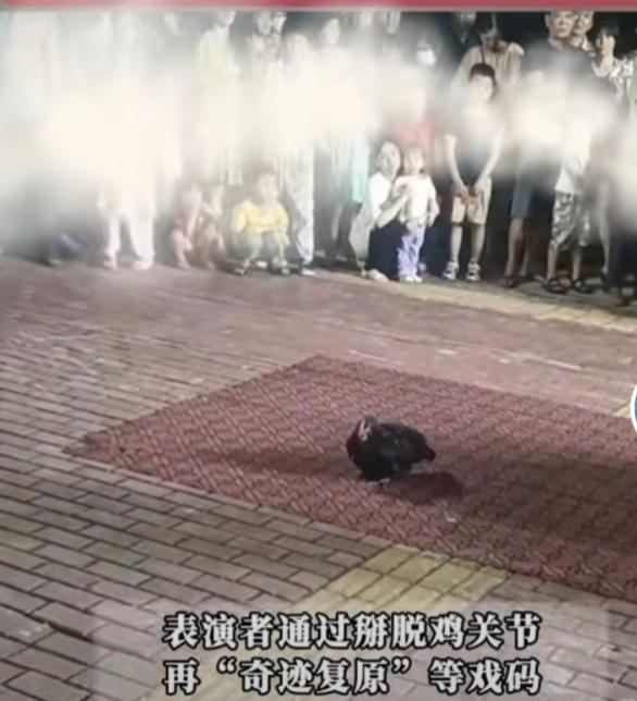 今晚在小区附近公园里看了一场流动杂技团的表演。几轮杂技节目过后，表演者开始现场推