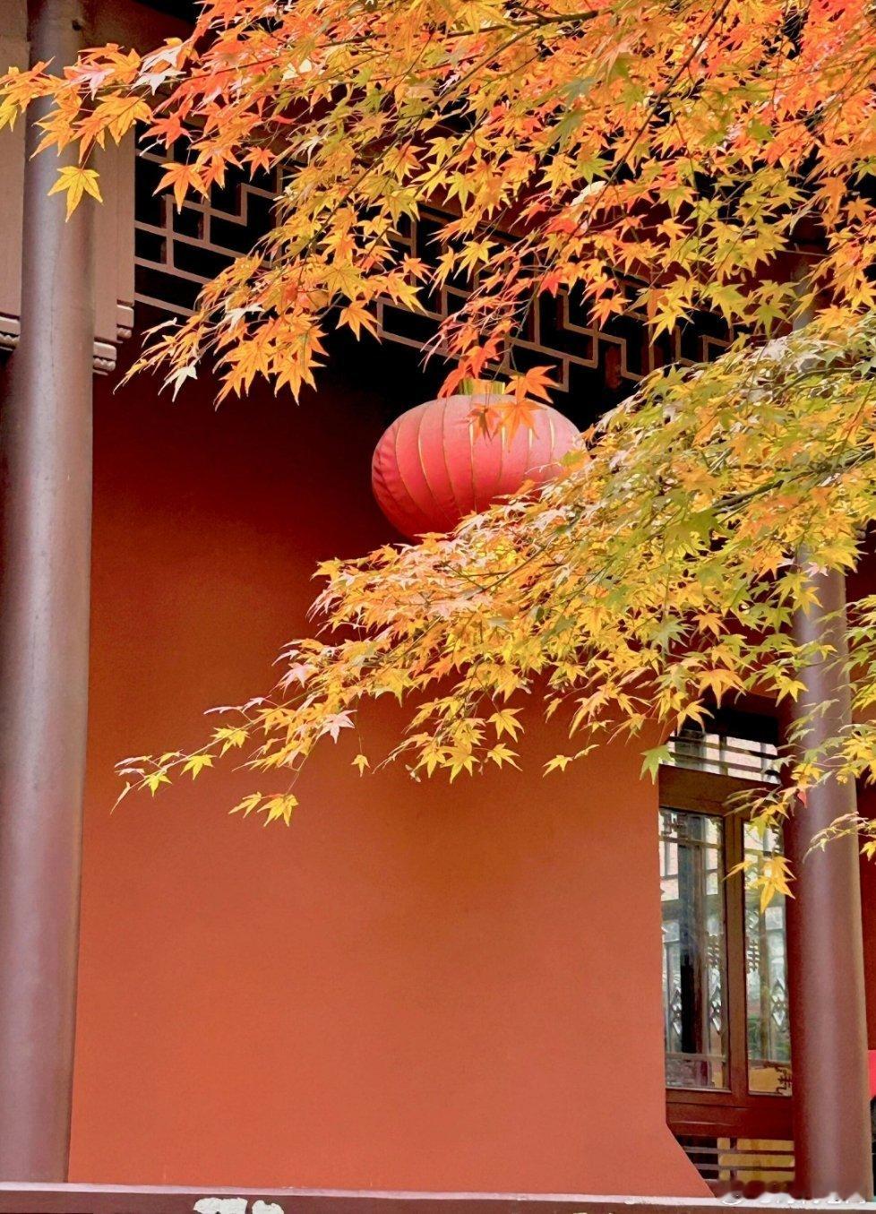 王阳明之所以被封神，是因为他发现了一个顶级秘密，向内求！这一招，足以解决你生活中