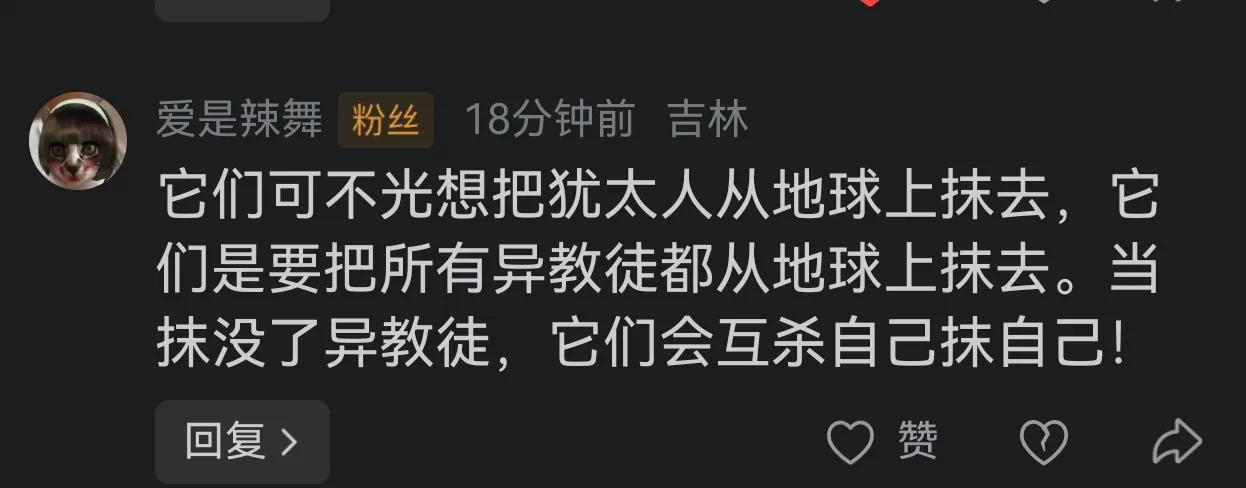清醒的网友也有不少，确实是的。哈马斯真主党胡塞伊朗这类群体，可不光想把犹太人从