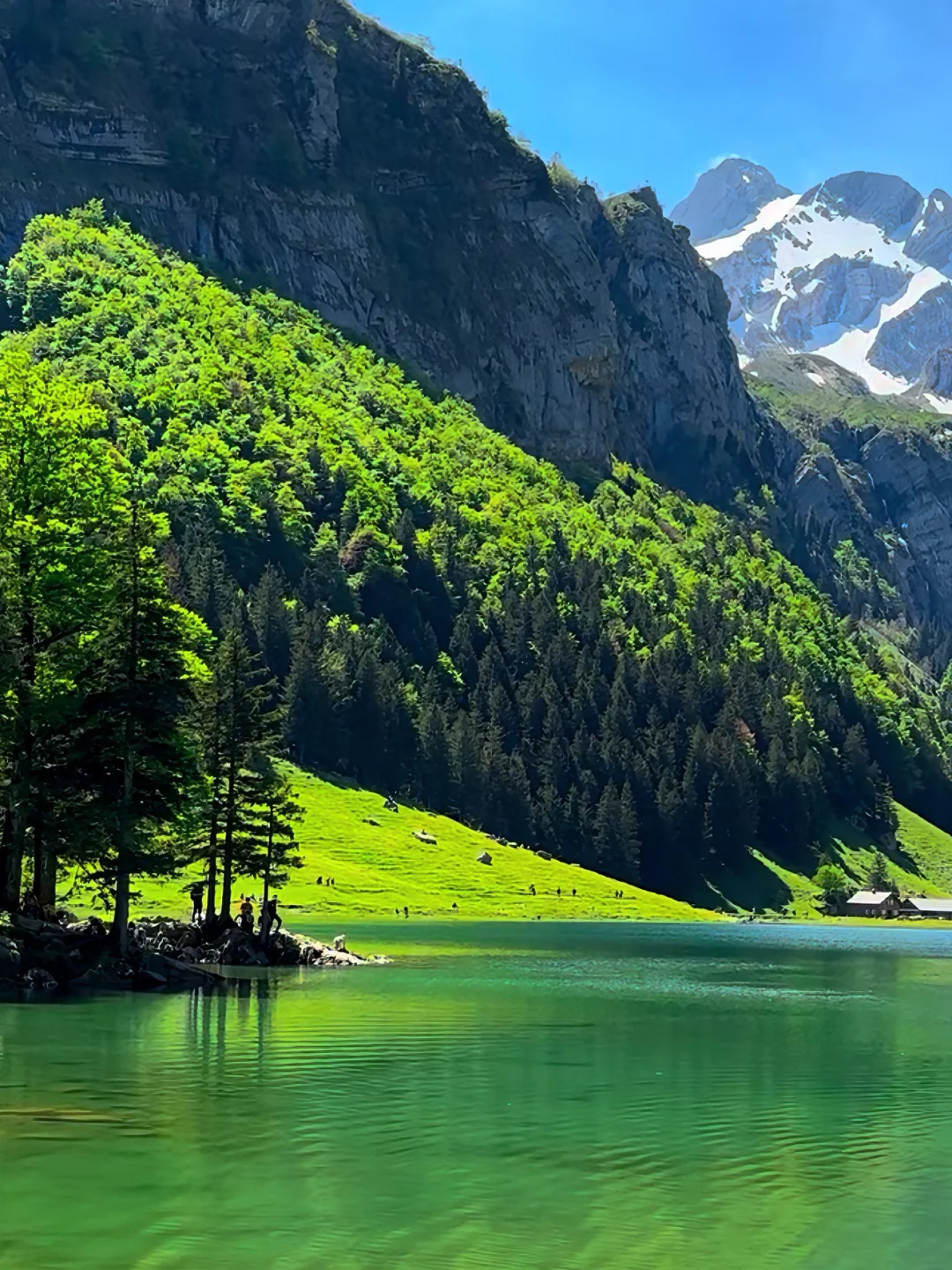 Seealpsee🇨🇭接下来的瑞士真是人间理想…