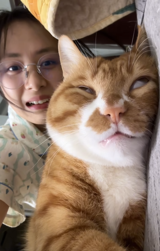 猫：嗯？好像背后有人。