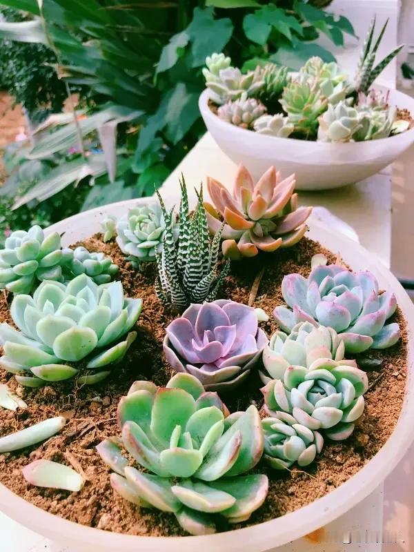 人活到了70岁,大致有几种活法?老人活到70岁的时候，算是老年的中间阶段，人