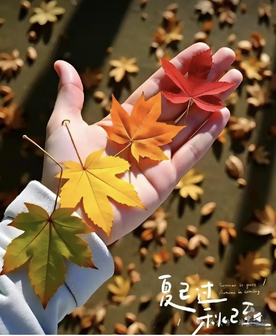 我有个邻居，她处理和亲家的关系处理的很好，我要向她学习。她女儿生孩子时，她需要