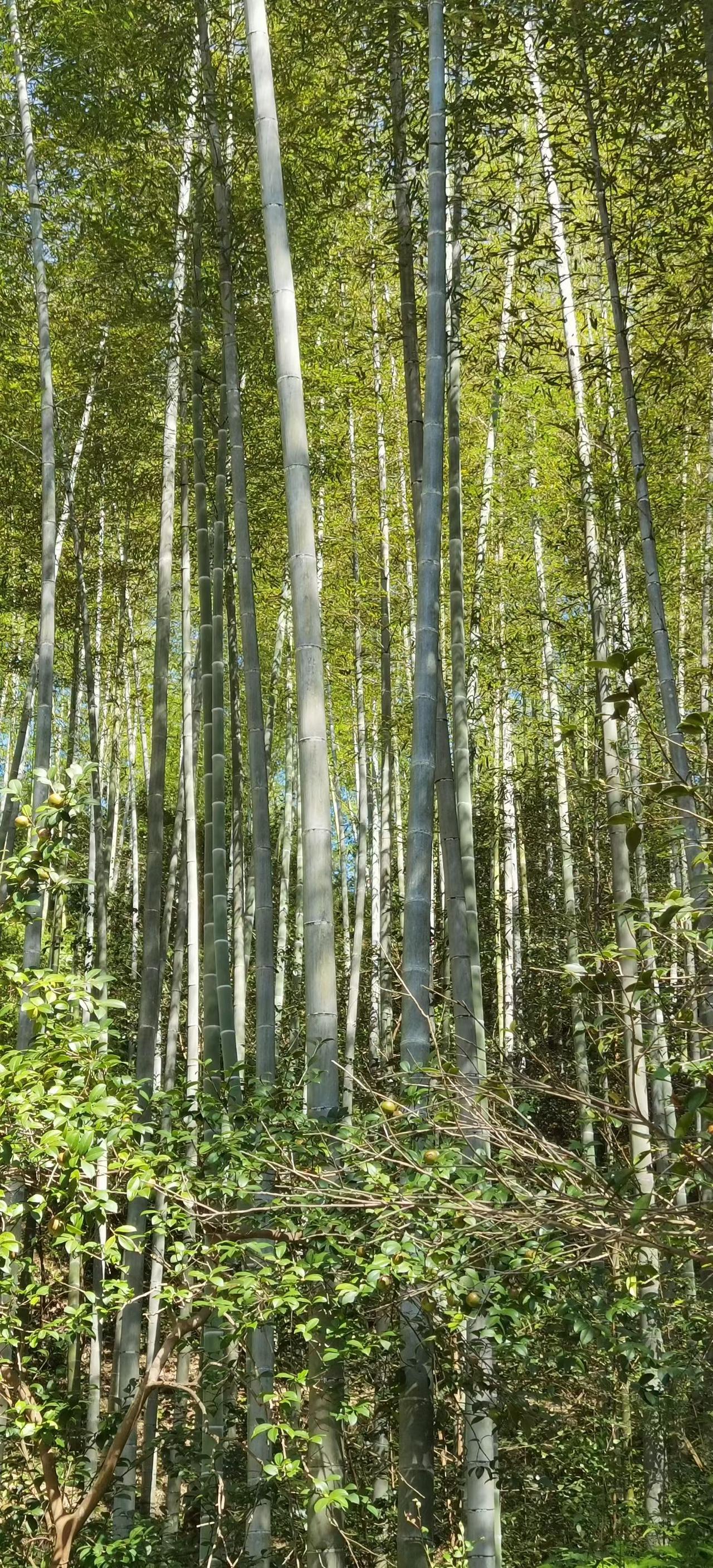 女生想要房子和彩礼，有错吗？这事儿不能一竿子打死说有错。以前我有个大学同学，班