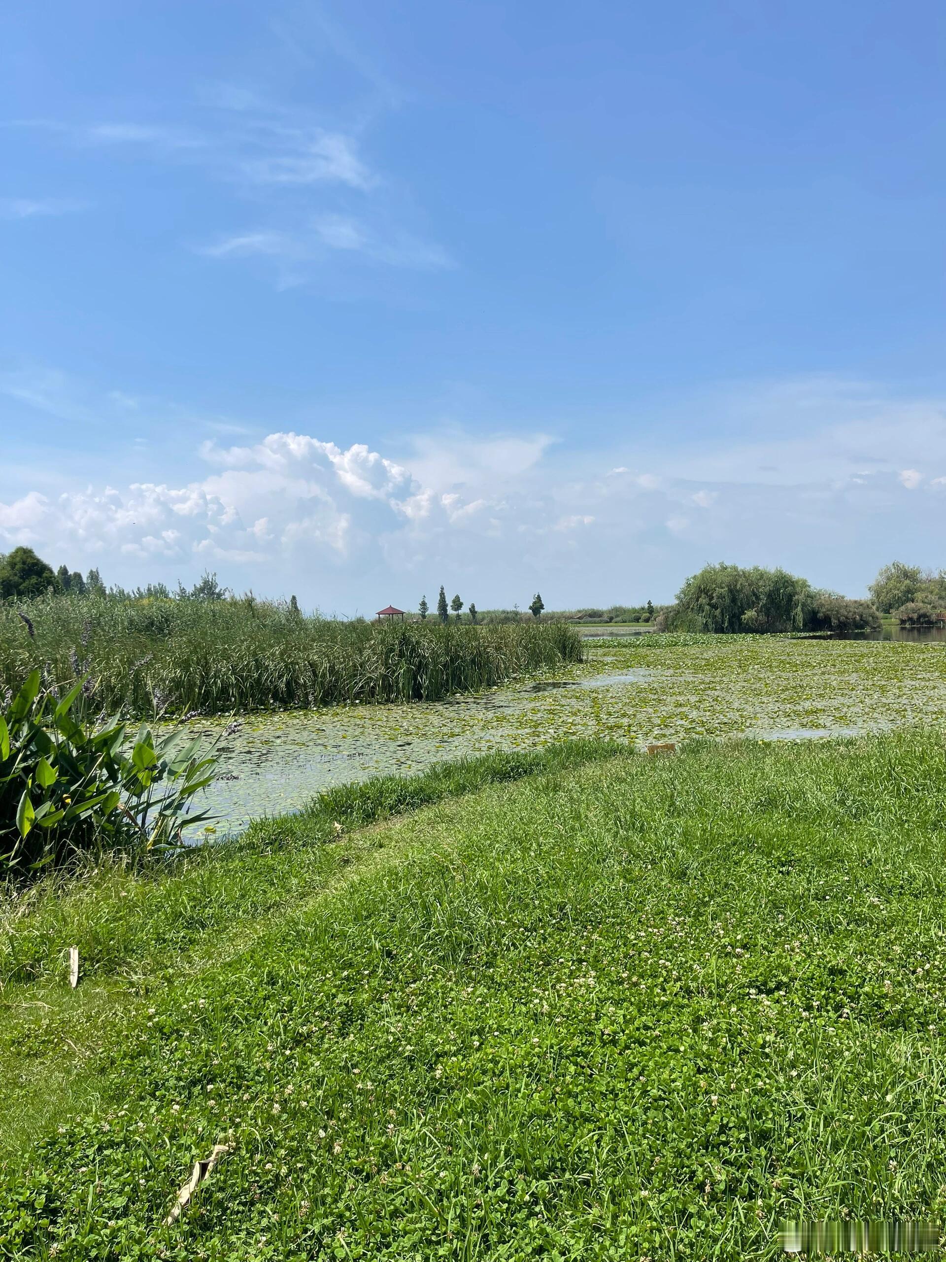 骑行、自行车昆明滇池绿道35公里骑行风景最美路线路线：宝丰湿地→水之桥→