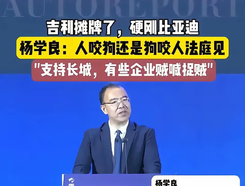 中国汽车重庆论坛，吉利汽车杨学良怒喷比亚迪做法违规，力挺长城汽车，把这场汽车争吵