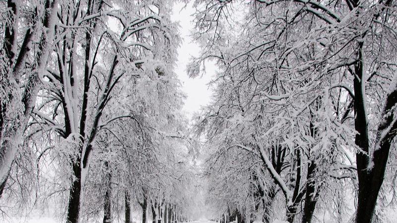 2026年开篇，首场雪于1月1日翩然而至。受寒潮与暖湿气流携手影响，我国多地银装