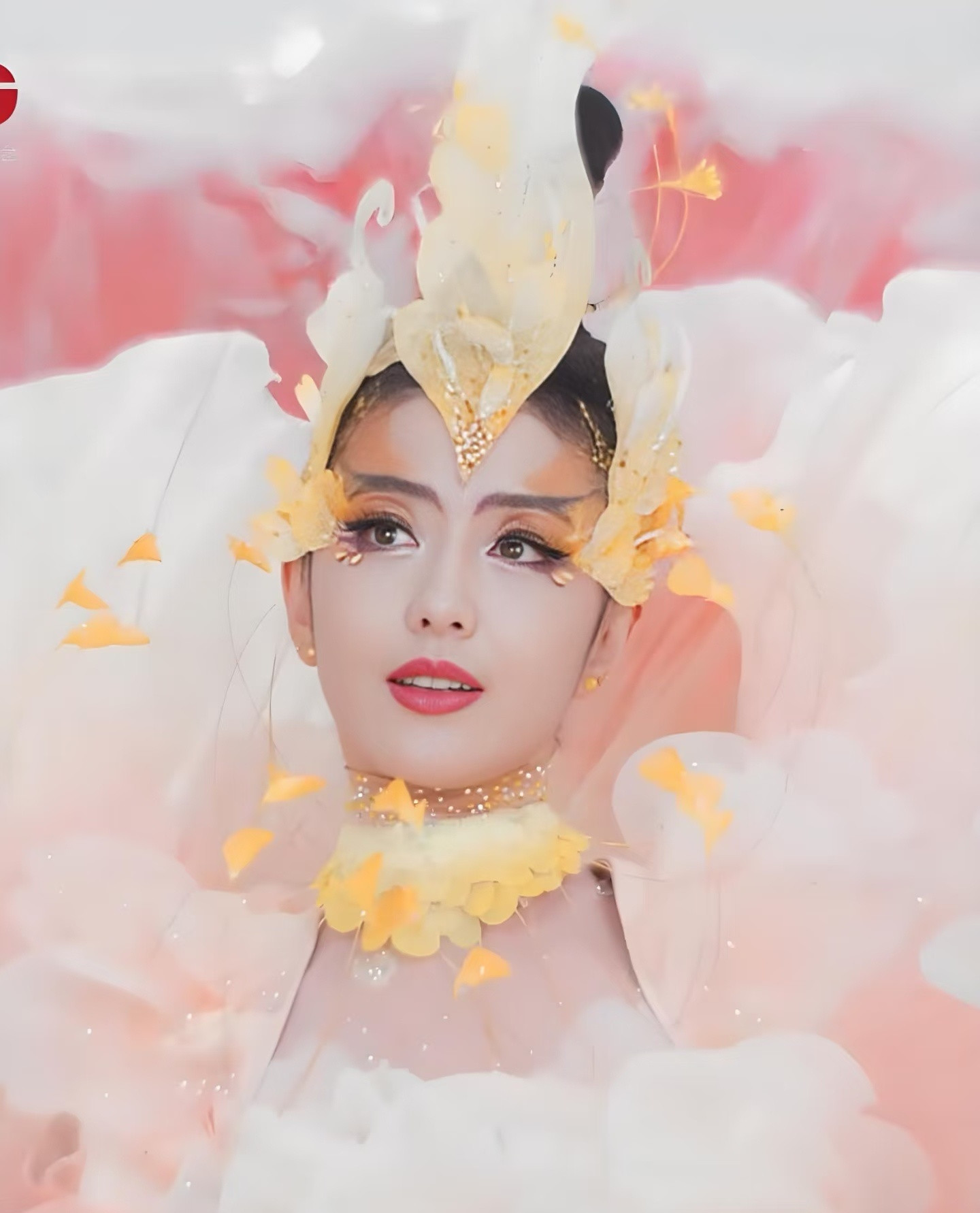 这妆造，不像牡丹，像鸟类。