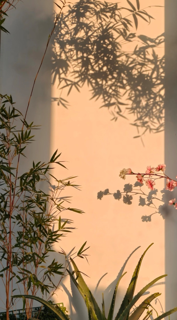 《道德经》出现最多的字：是