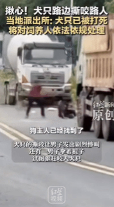 “揪心！”湖南一男子在路上被一只没拴绳的恶犬拖到车底下撕咬，好心老人发现后，壮着