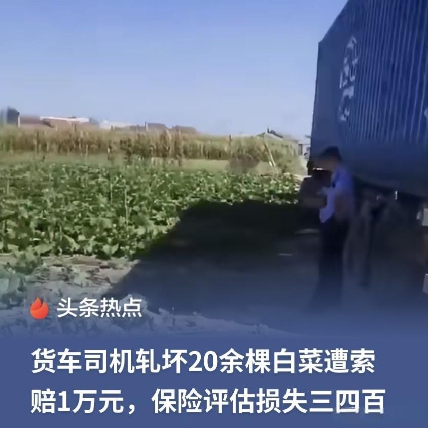20多棵白菜张口要1万！司机报警后对方直接涨价，4小时调解结局太真实辽宁辽