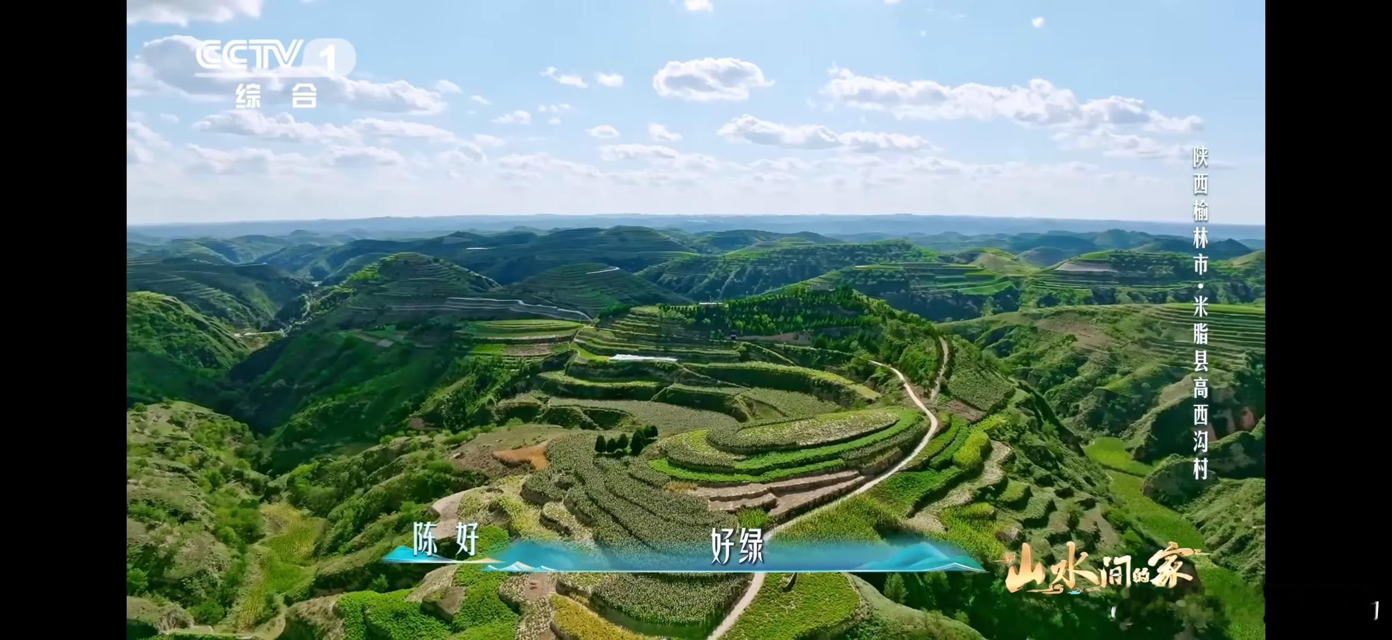 黄土高原变绿了黄土高原整体植被覆盖率从新中国成立初期的6.1%（1949年）跃升