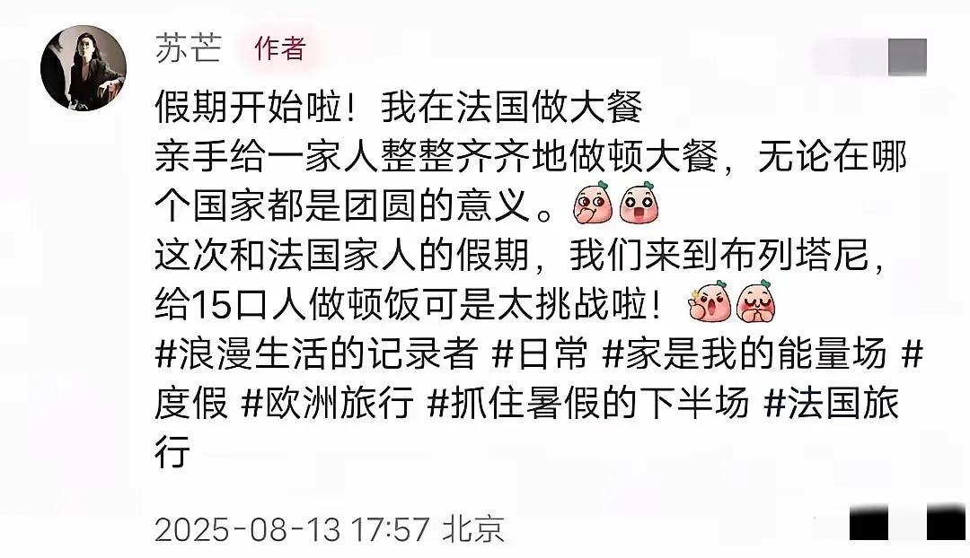 苏芒，一个人给法国婆家做了15人的中餐。很多名人在国内十指不沾阳春水，甚至不食