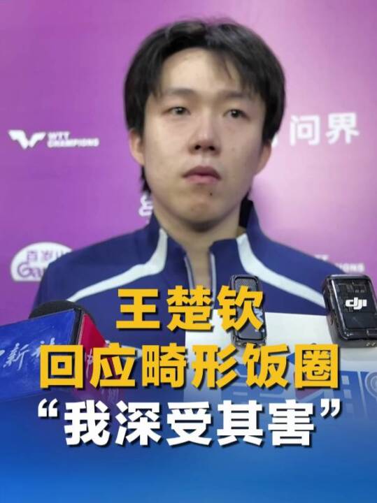 王楚钦谈“饭圈”乱象
