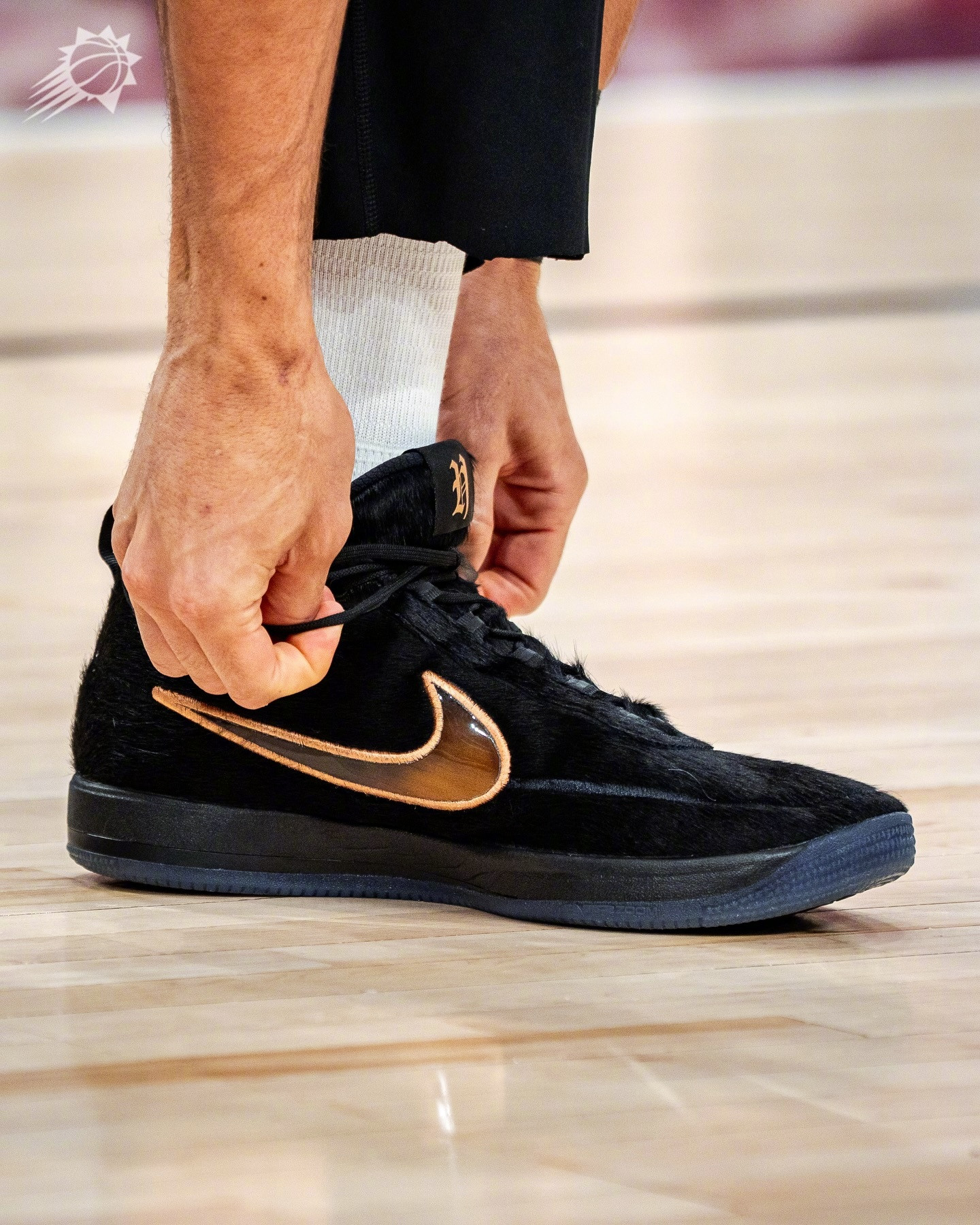 布克以爱犬为灵感设计的Book2“HavenandHector”。