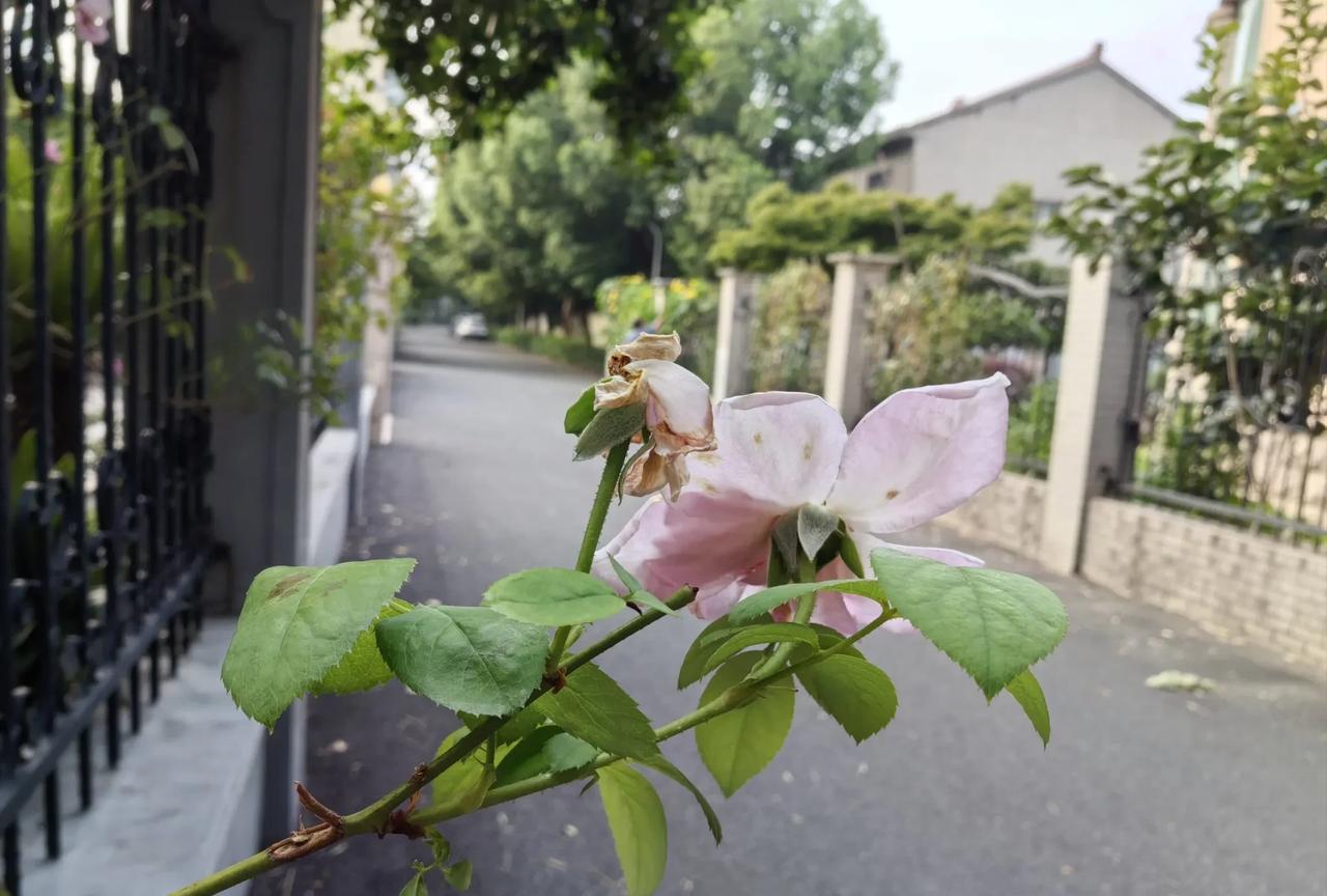 我们这里有户人家，生了个聪明儿子，以前家家都羡慕他们儿子有出息，名牌大学毕业又顺