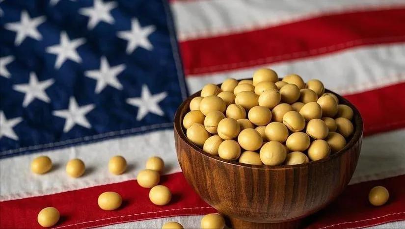 真不用怕美国、阿根廷、巴西这三大大豆出口国一起涨价，中国早有准备，根本不会被卡脖