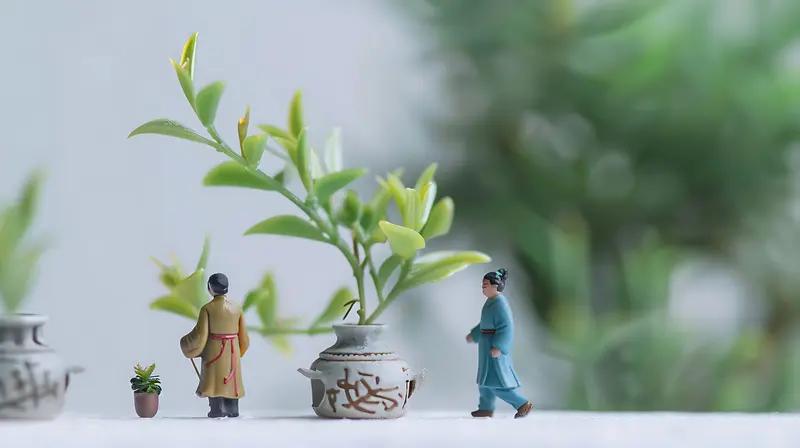 人生九不争，福气自然来1、不和家人，争高低2、不和小人，争长短3、不和