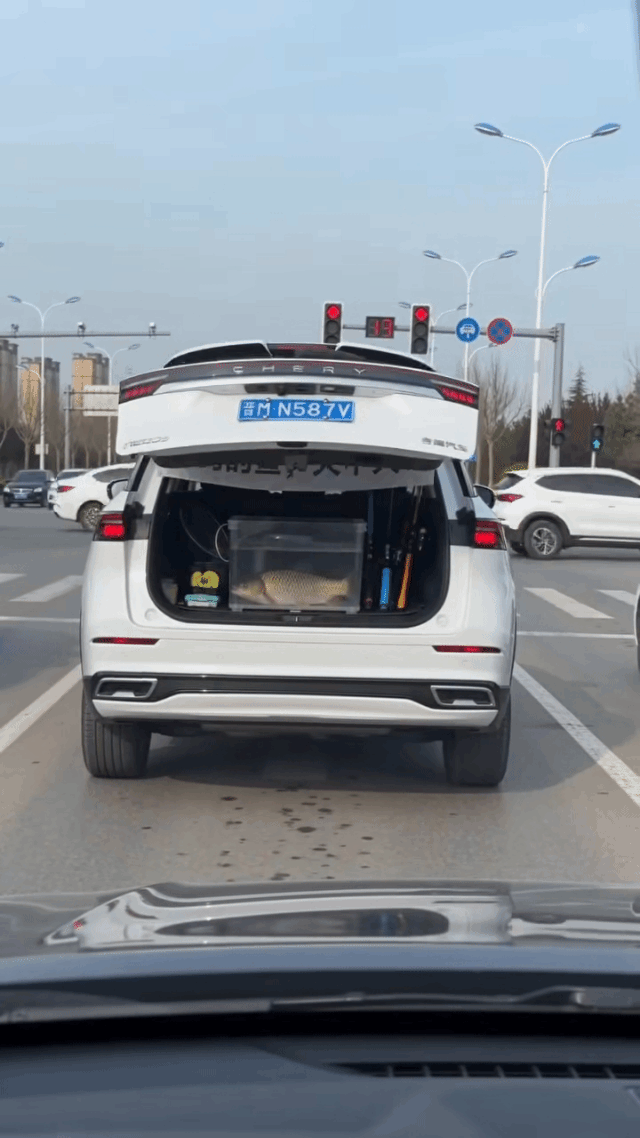 听说钓鱼佬钓到大鱼都是要显摆的？结局让人舒服了