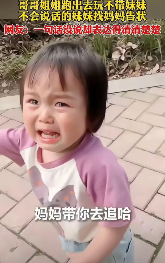 一个不会说话的小娃娃，竟然把状告到中央了，人民日报都亲自下场了。不会说话的妹