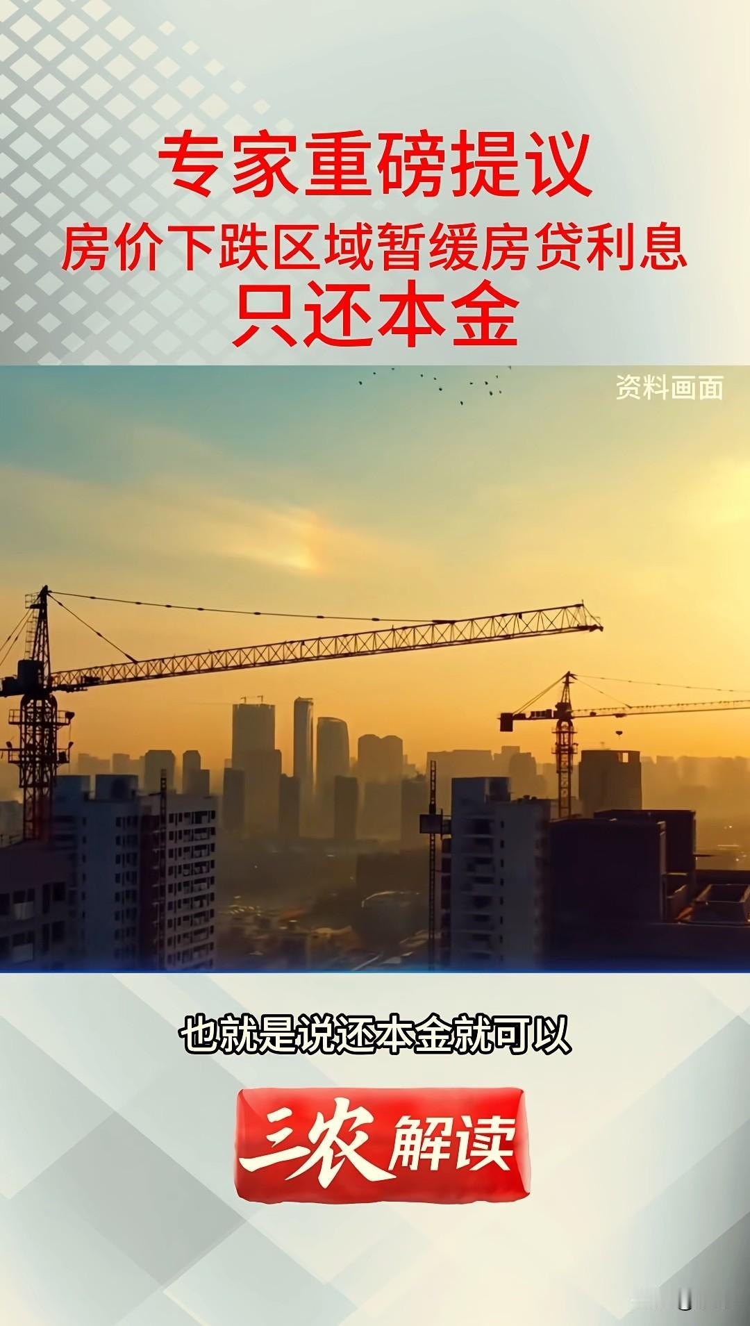 经济学家建议，房价下跌区域暂缓放贷利息，只还本金！这个必须点赞，这才是实打实的
