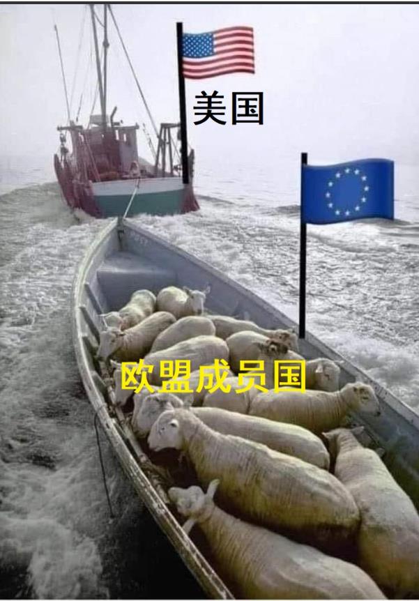 《南德意志报》发表评论称，西方国家缺席中国抗战胜利80周年庆典活动，“未能在世界