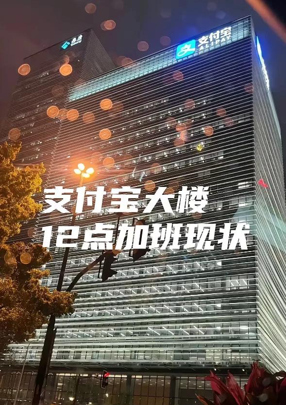 支付宝大楼里某些员工们昨夜估计是彻夜难眠了，犯了这么大个错误，追责肯定是少不了的