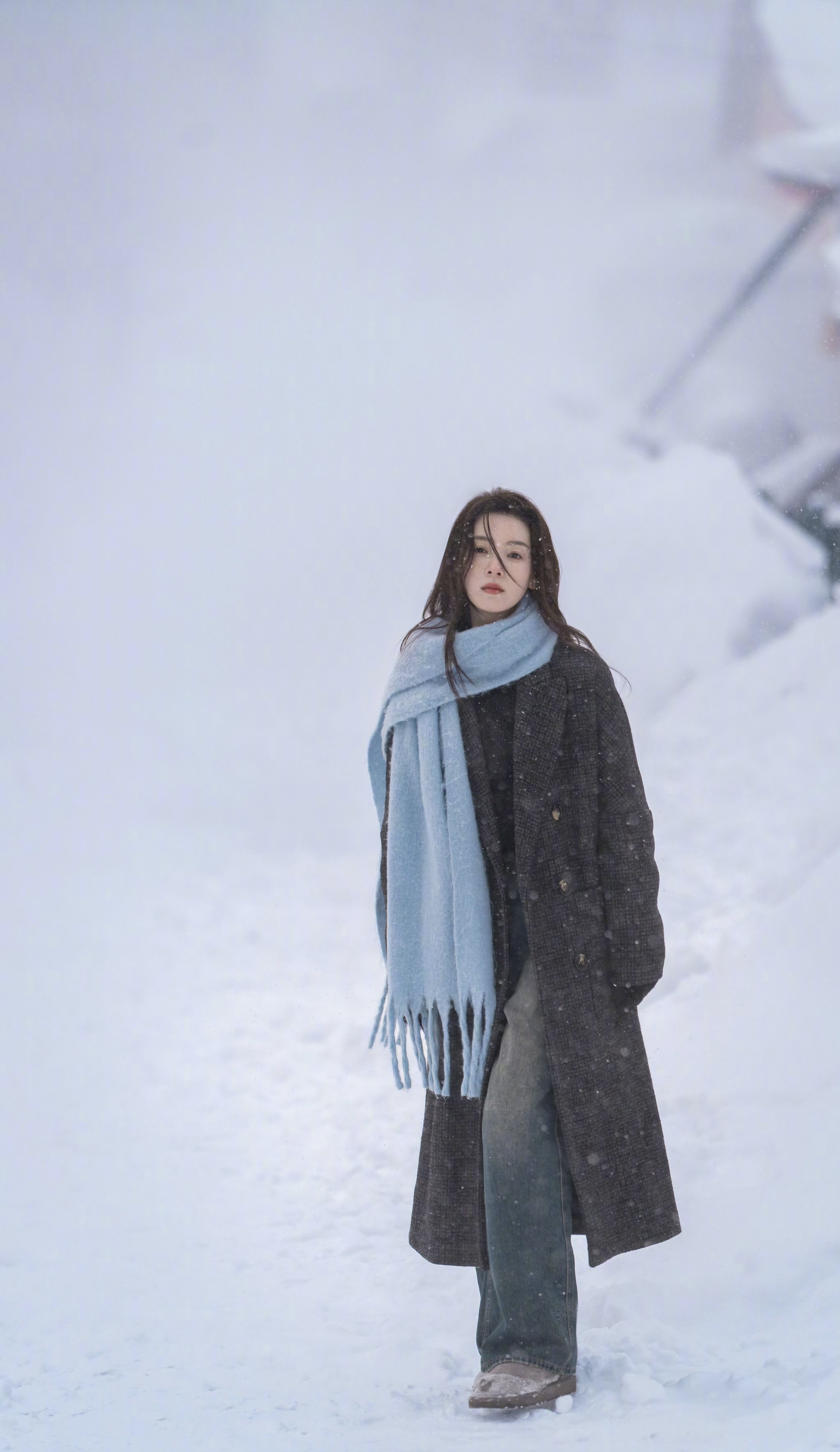 嗑颜bot陈瑶冬日来信📨