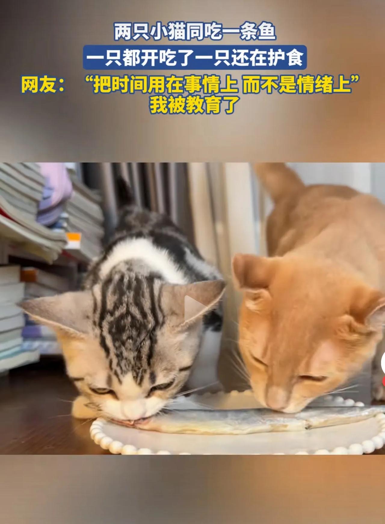 太有教育意义的一个事了