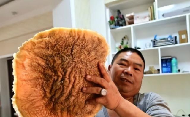 2018年，新疆一男子捡到了一块6.55公斤“黑太岁”，有人愿意出85万高价收购