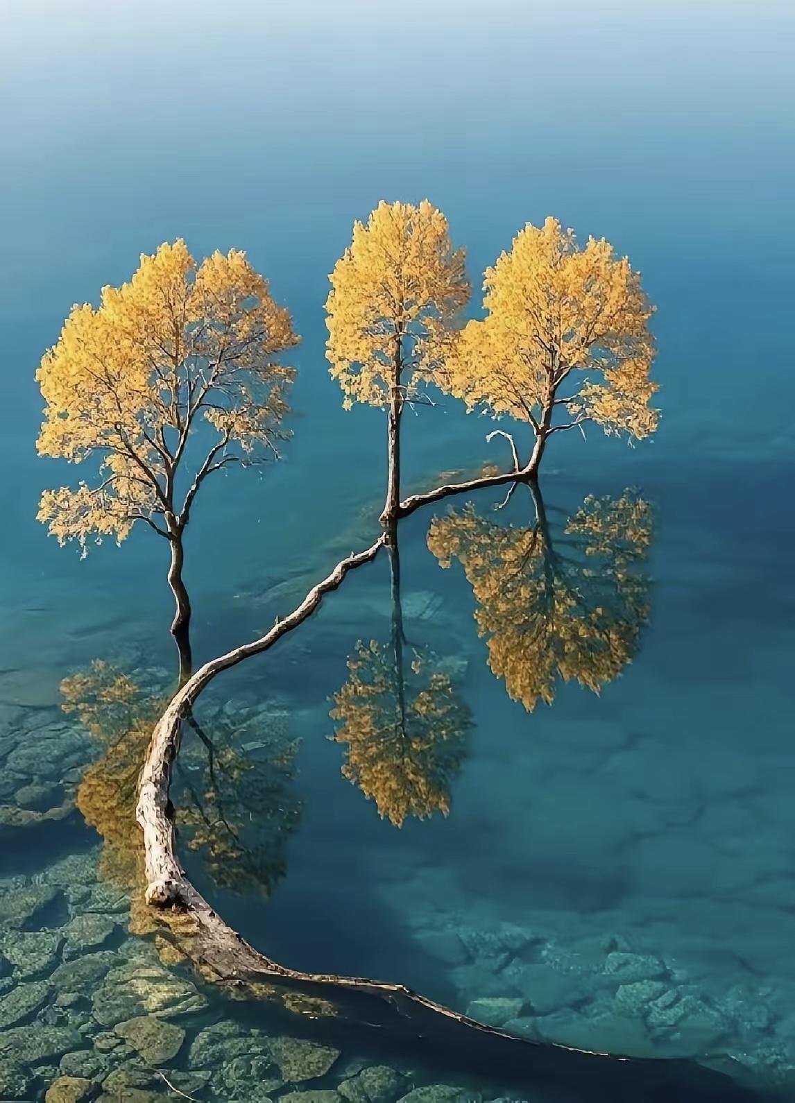 这张照片效果为啥好？这张照片的视觉效果之所以如此震撼，主要