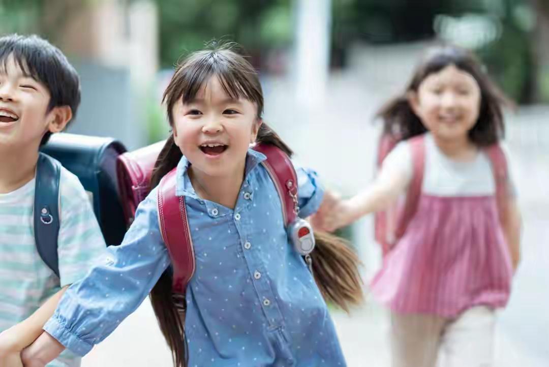 今年就是小学最后的辉煌，过了今年以后，小学生在我们国家将变得越来越稀有。2