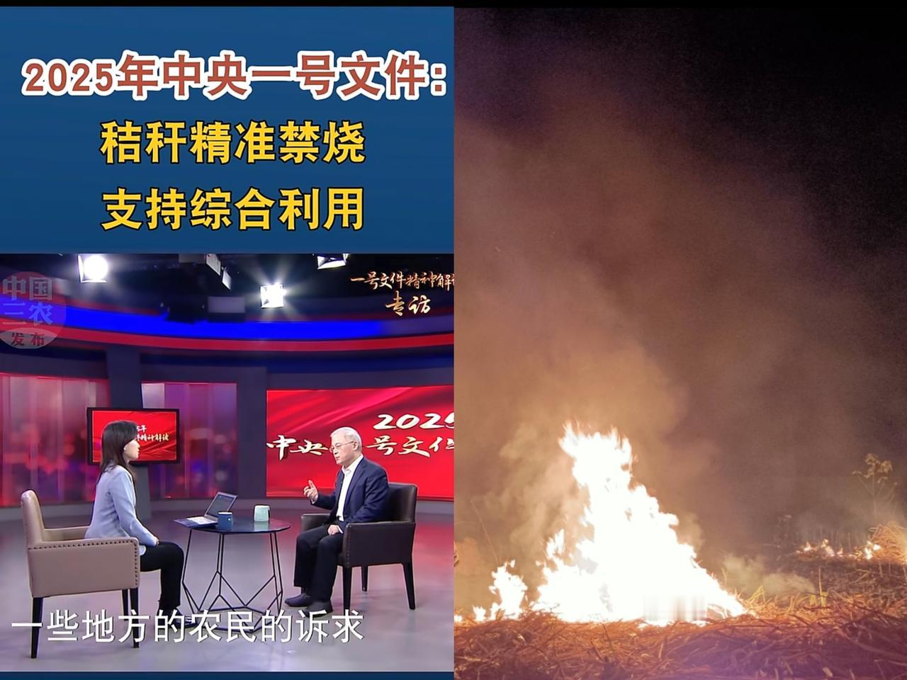 国家出手整治焚烧秸秆问题！秸秆烧不烧？问题真不少！种地要施肥，有虫要打药。