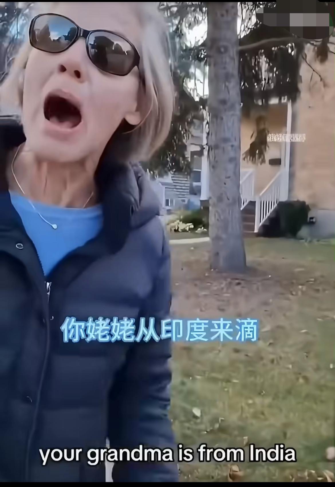 加拿大大妈的战斗力太弱了，竟然吵不过印度人，一个加拿大大妈在路上看到一个印度裔男