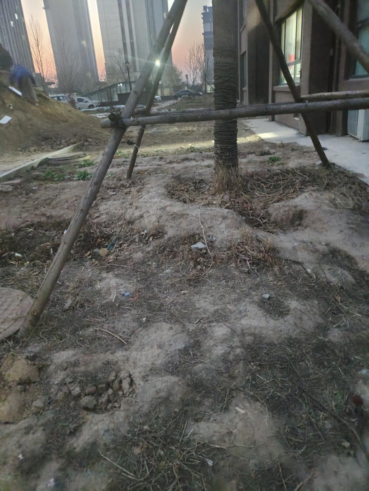 照我看啊，每个孩子都找个线上高材生搭子，请名牌大学的尖子生给自家孩子讲讲学习。让