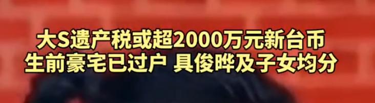 大s的遗产想继承，需要2000万台币的高额遗产税两个孩子要承担三分之二，差不