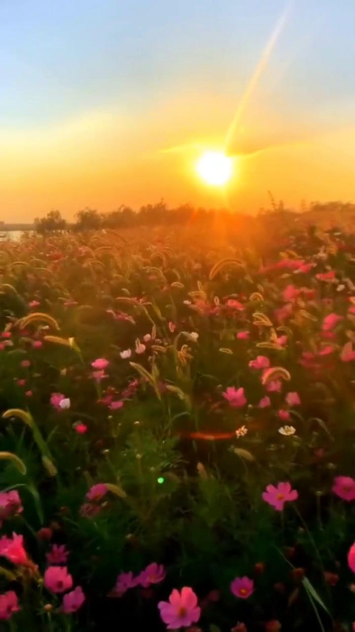 芙蓉传。演唱者：周深。制片人：芙蓉传媒。千年古镇水东老街，一个您去过一次再