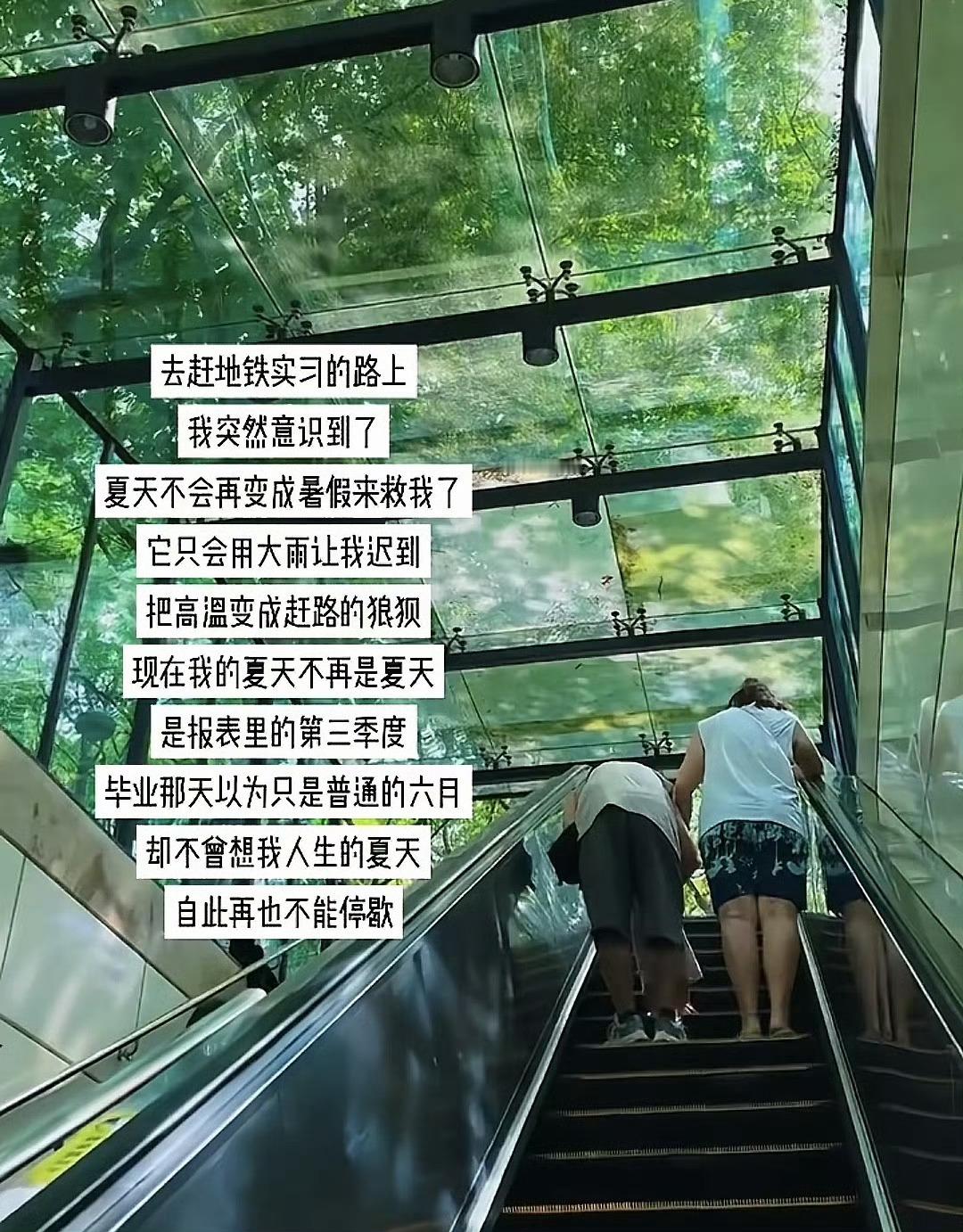 毕业后才懂得夏天有多珍贵​​​