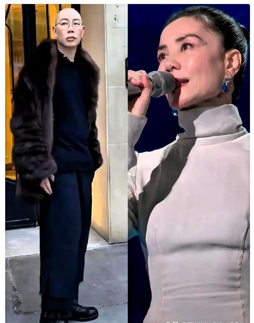 王菲这眉毛，简直是化妆界的“指鹿为马”现场！你敢相信那两道直插太阳穴的黑线，居