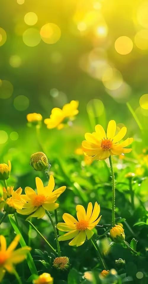 我同事今天把婚退了，男方家全款买了套三居室的婚房。不晓得女方坚守的啥，我女儿结婚