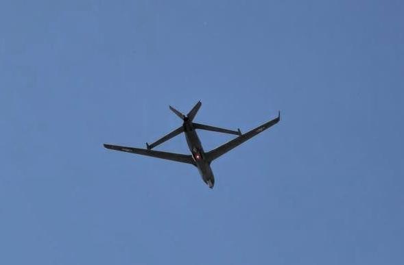 现实版的“猫捉老鼠”在东沙岛上演，而且还是那种“高智商版″的！这次最绝的是，