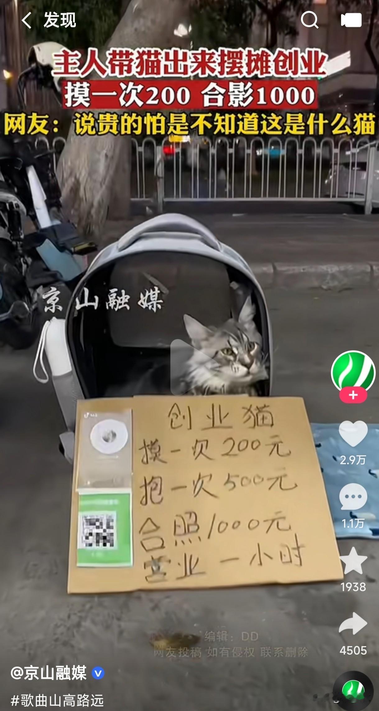 这是世间罕见的稀有猫吗摸一次200元抱一次500元合照1000元而且只营