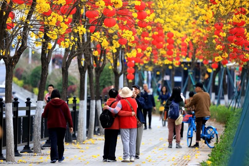 春日生活打卡季春日生活打卡季开启了，这可不是什么任务，而是一场与时光的温柔邂逅