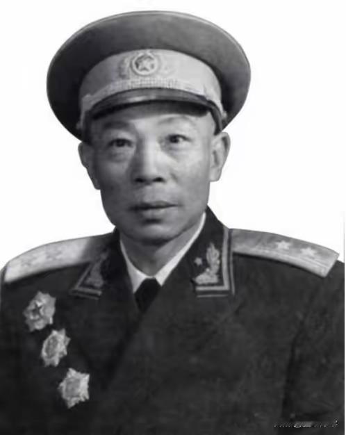 1949年，清剿湖南6万残匪的军长杨梅生路过小镇，见一乞丐老太酷似亡母，派警卫去