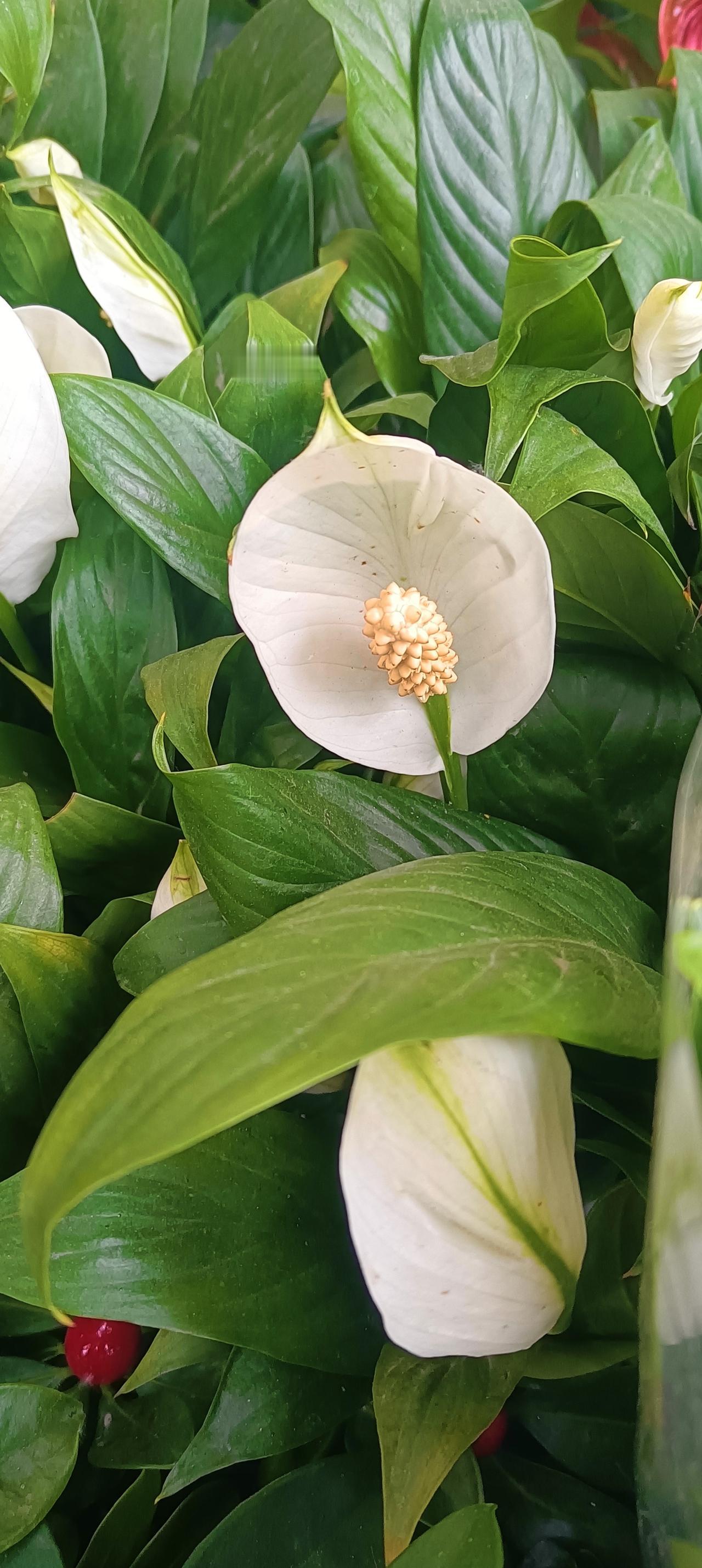 4月工资到账，我算了3遍，确认了一个事实今天，我的4月工资到账了。14000元