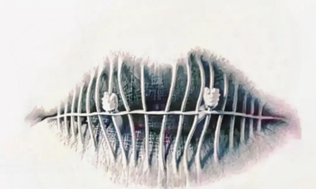 心理测试2025年又出新花样。刷到一条短视频，博主拿两张图让网友选“先看到猫